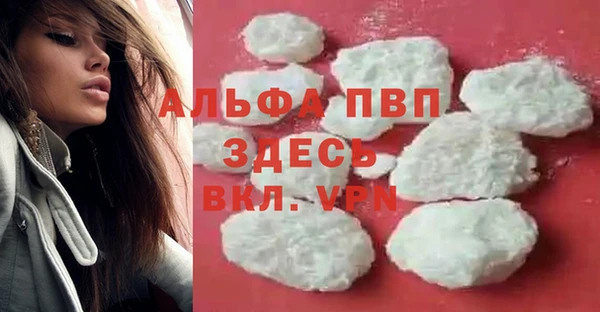 крисы Белокуриха