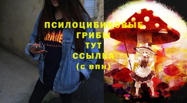 крисы Белокуриха