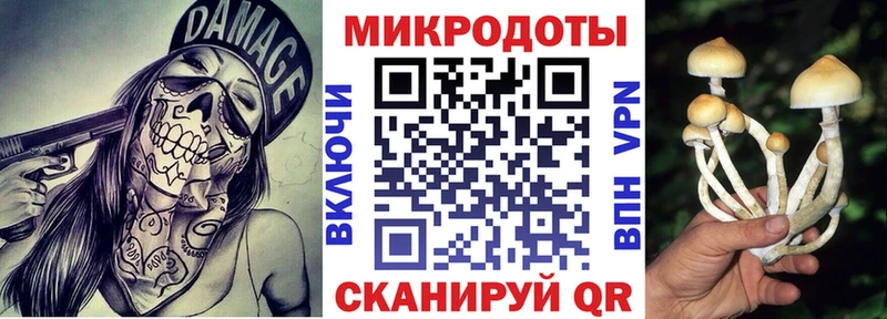 Псилоцибиновые грибы GOLDEN TEACHER Луховицы